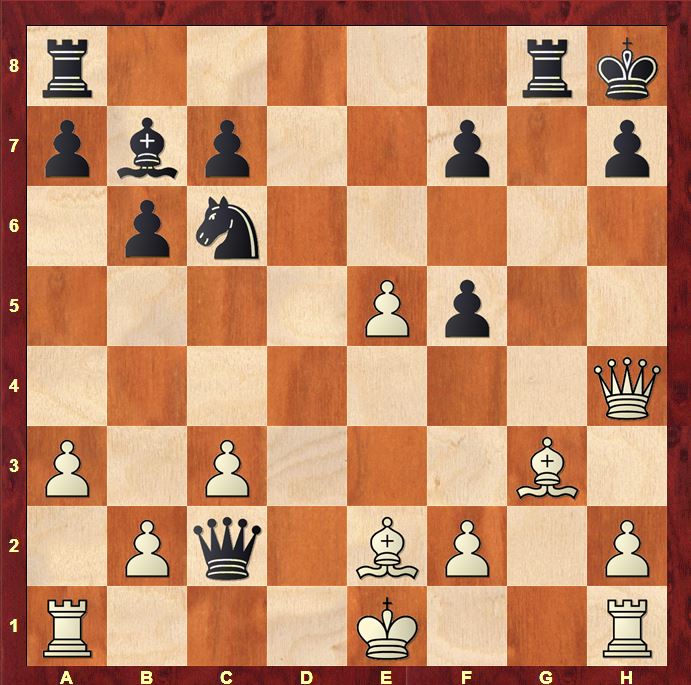 Alekhine-Euwe 1935: powerful images